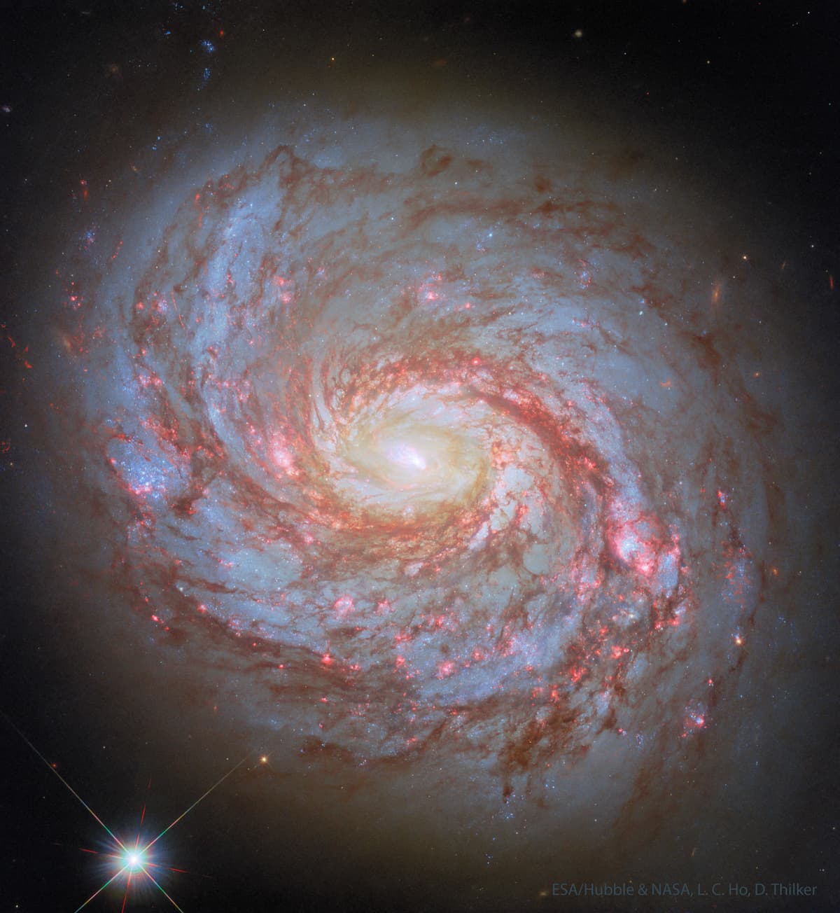 M77: Spiral Galaxy with an Active Center