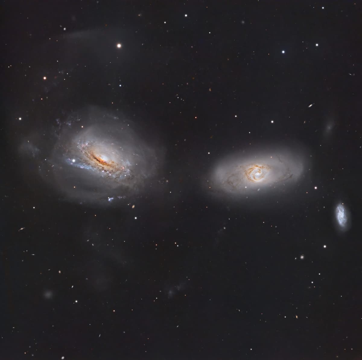 Unraveling NGC 3169