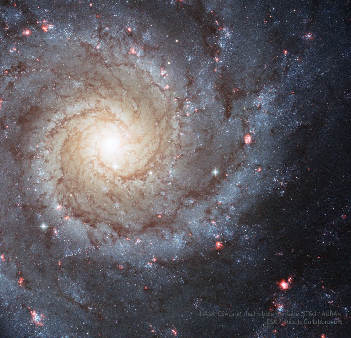M74: A Grand Design Spiral