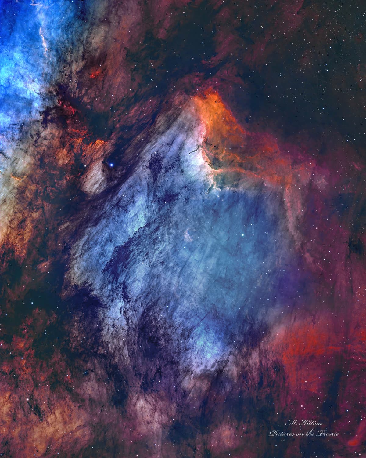 The Pelican Nebula in Gas, Dust, and Stars